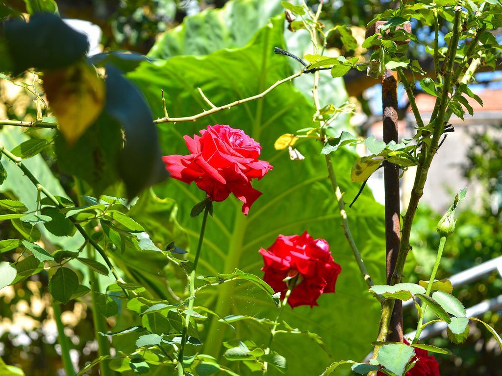 Отель The Secret Garden Relais Пьяно-ди-Сорренто Экстерьер фото